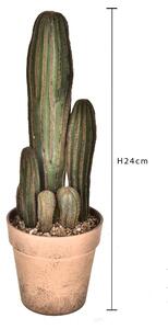 Set 2 Pianta di Cactus Artificiale con Vaso Altezza 24 cm Verde