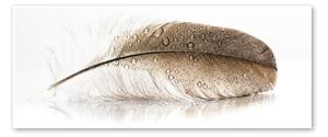Immagine su tela, 50 x 125 cm Glasspik Wings - Styler