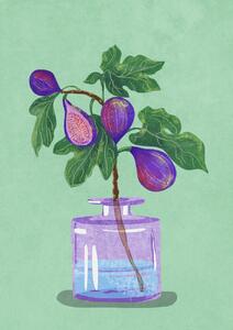 Illustrazione Figs Branch In Vase, Raissa Oltmanns, (30 x 40 cm)