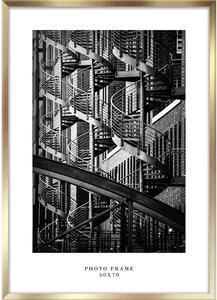 Cornice dorata da appendere, 53 x 73 cm Floryda - Styler