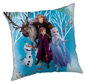 Cuscino per bambini in vello Frozen "Family" – Jerry Fabrics