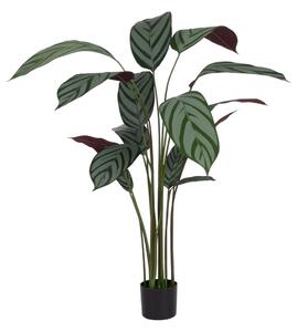 Pianta artificiale (altezza 150 cm) Calathea - Ixia