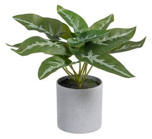 Pianta artificiale (altezza 21 cm) Syngonium - Ixia