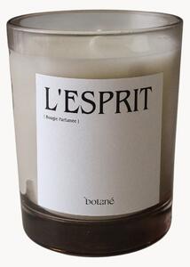 Candela profumata L'esprit (aghi di pino, cedro, incenso & vegetale verde)