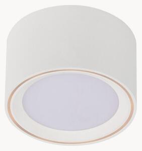 Faretto da soffitto a LED
