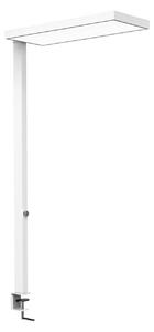 Maul Lampada con morsetto MAULjura, dimmerabile, Bianco / Opale, Studio / Ufficio, Alluminio, Moderno, Lampada con morsetto
