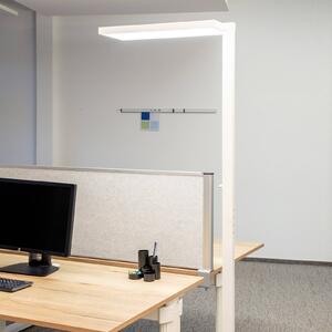 Maul Lampada da terra a LED MAULjura, dimmerabile, Bianco / Opale, Studio / Ufficio, Alluminio, Moderno, Lampada LED da terra