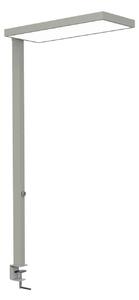 Maul Lampada con morsetto MAULjura, dimmerabile, Cromo / Argento, Studio / Ufficio, Alluminio, Moderno, Lampada con morsetto