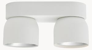 Faretti da soffitto con luce regolabile Pitcher