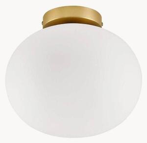 Lampada da soffitto Alton