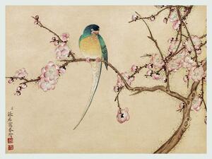 Riproduzione Bird on a Blossom Branch, Zhang Ruoai