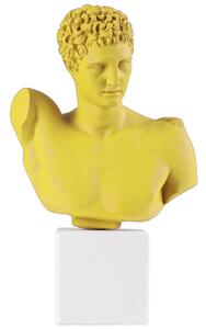 SOPHIA Statua Busto di Hermes L Giallo