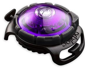 Luce per collare a LED Purple - Orbiloc