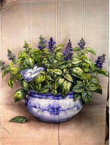 Strofinaccio da cucina in cotone con stampa digitale di erbe aromatiche MIGU24-1 50x70 cm