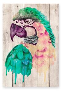 Decorazione da parete in legno di pino, 60 x 40 cm Watercolor Parrot - Madre Selva