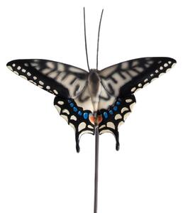 Tappi da giardino in poliresina in set di 3 pezzi Butterfly - Esschert Design