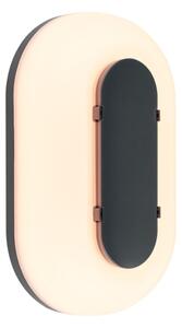 Paulmann 94957 - LED/18,5W IP65 dimmerabile applique da esterno ELUNOR 230V