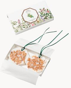 Set di 2 candele profumate botaniche Cedar (legno, fresco, secco)