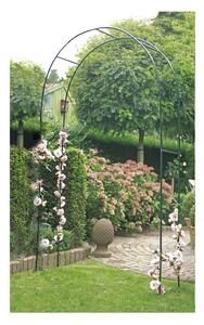 Arco per piante rampicanti - Garden Pleasure