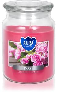 BISPOL Premium Line Rose candela profumata 500 g