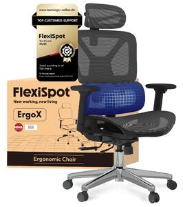 FLEXISPOT ErgoX Sedia da ufficio ergonomica Sedia da scrivania Braccioli 3D e poggiatesta Schienale regolabile in 5 direzioni Portata massima di 136 kg Grigio