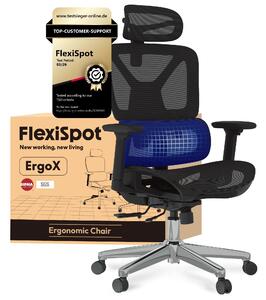 FLEXISPOT ErgoX Sedia da ufficio ergonomica Sedia da scrivania Braccioli 3D e poggiatesta Schienale regolabile in 5 direzioni Portata massima di 136 kg Nero