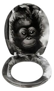 Sedile WC , 44,5 x 36,5 cm Ape - Wenko