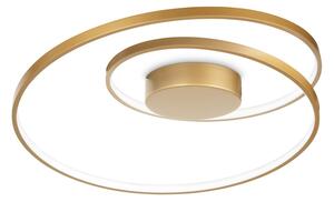 Plafoniera Moderna Dali Oz Metallo Ottone Led 48W 3000K Luce Calda