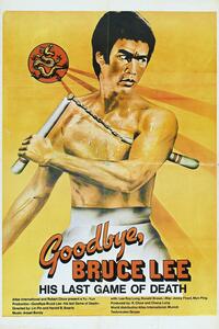 Illustrazione Goodbye Bruce Lee