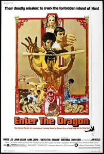 Illustrazione Enter The Dragon 0