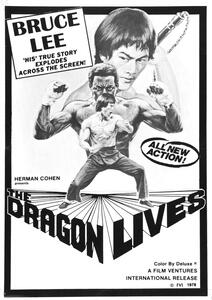 Illustrazione Bruce Lee Man Myth 02