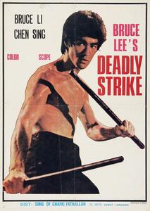 Illustrazione Bruce Lee's Deadly Strike