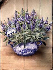 Strofinaccio da cucina in cotone con stampa digitale di erbe aromatiche MIGU24-4 50x70 cm