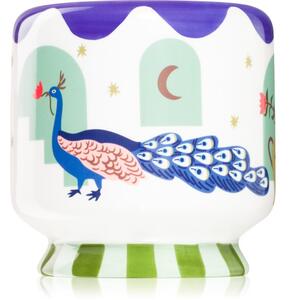 Paddywax A Dopo Peacock Blue candela profumata 226 g