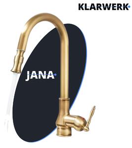 JANA | Rubinetto da cucina vintage in acciaio inossidabile con bocca estraibile, finitura ottone anticato | Miscelatore a bocca alta | Rubinetto per uso professionale ad alta pressione, orientabile a 360°, 2 attacchi