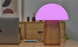 Lampada da tavolo dimmerabile in colore naturale con paralume in vetro (altezza 32 cm) Alice - Gingko