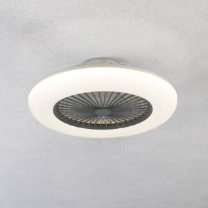 EGLO Ventilatore pale Sayulita L LED CCT, bianco/grigio