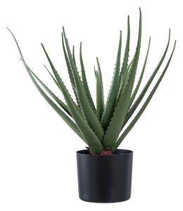 Pianta artificiale (altezza 51 cm) Aloe Vera - House Nordic