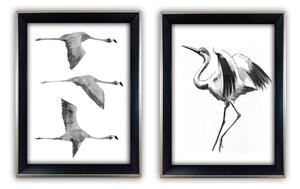 Set di dipinti 2 pz 35x45 cm Crane – Wallity