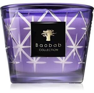 Baobab Borgia Rodrigo candela profumata 10 cm