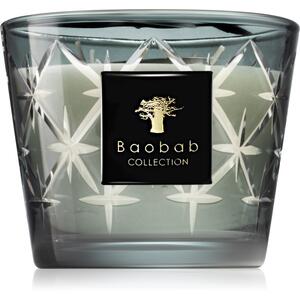 Baobab Borgia César candela profumata 10 cm