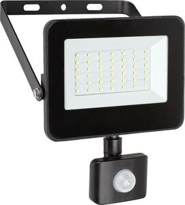 Rabalux 7068 - Riflettore LED con sensore FLOOD LED/30W/230V 4000K IP44 nero