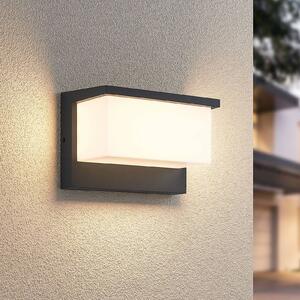 Trio Lighting Applique LED da esterni Nestos, IP54