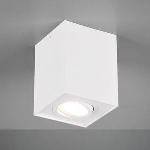 Trio Lighting Plafoniera Biscuit, 1 luce, bianco