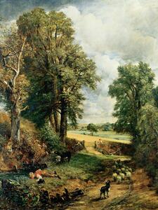 Riproduzione The Cornfield 1826, John Constable