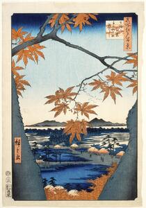 Riproduzione Maples leaves at Mama, Hiroshige Utagawa