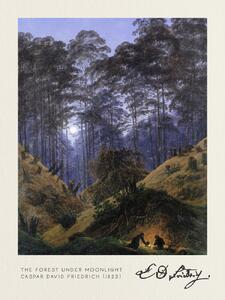 Riproduzione The Forest under Moonlight Vintage Fantasy Landscape - Casper David Friedrich, (30 x 40 cm)
