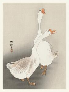 Riproduzione Two Geese Japandi Vintage - Ohara Koson, (30 x 40 cm)