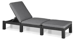 Sdraio da giardino grigio scuro in imbottito/in rattan artificiale regolabile Daytona – Keter