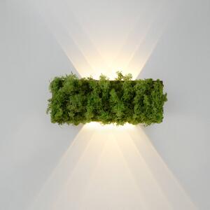 JUST LIGHT. Applique LED Green Carlo, up/down, vero muschio